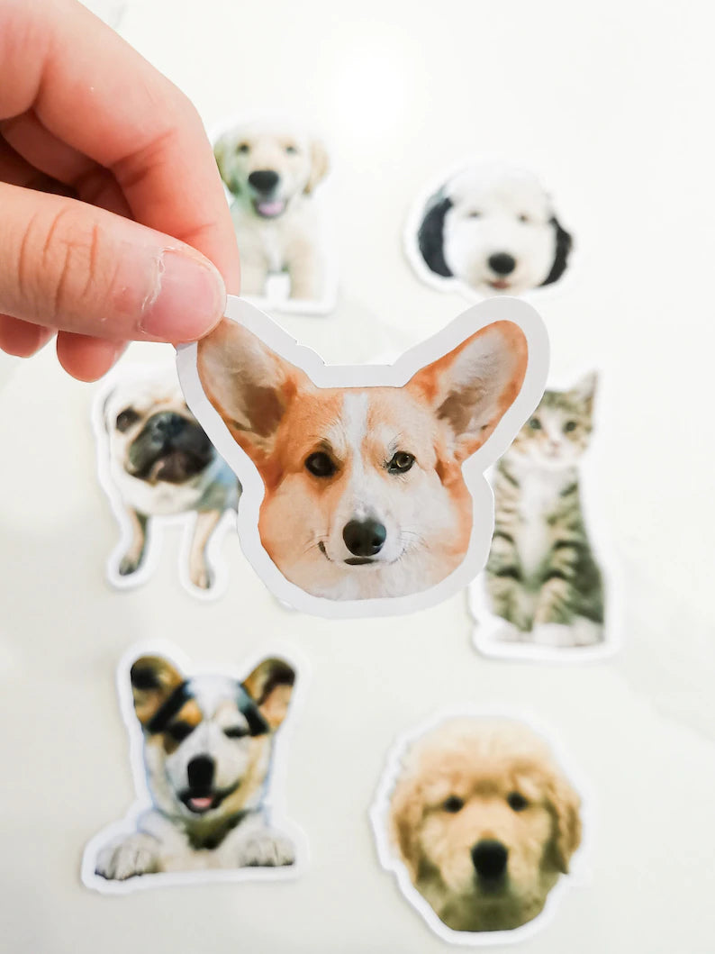 Custom Pet Sticker, Die Cut Vinyl Waterproof, Personalized Gift, Custom Dog Sticker, Custom Cat Sticker, Water Bottle Sticker, Pet Decal