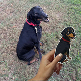 Custom Pet Stickers, Custom Dog Stickers, Custom Cat Stickers, Handdrawn, Waterproof Vinyl Sticker