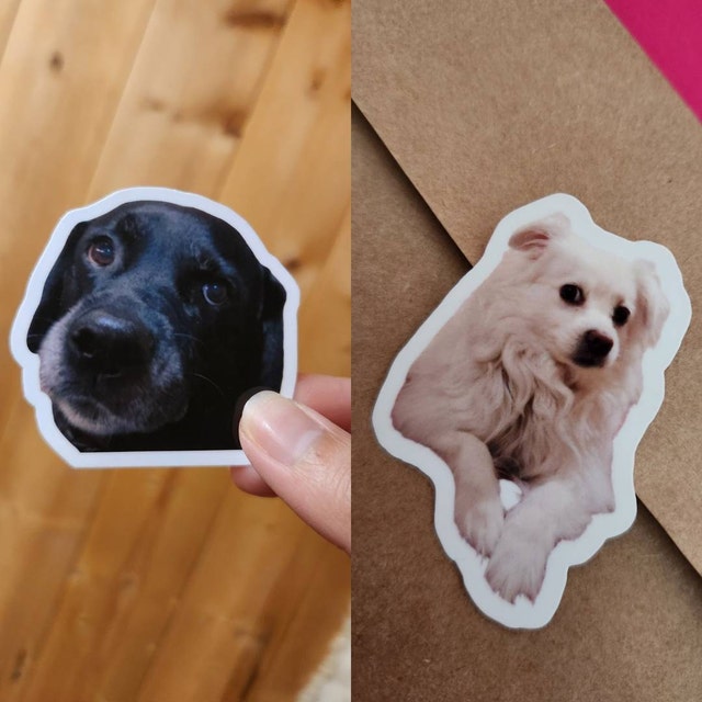 Custom Pet Sticker, Die Cut Vinyl Waterproof, Personalized Gift, Custom Dog Sticker, Custom Cat Sticker, Water Bottle Sticker, Pet Decal