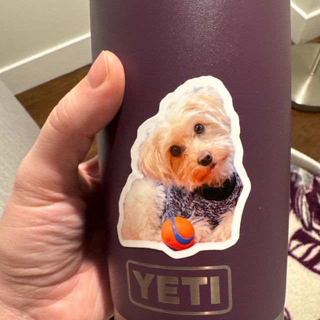 Personalized Dog Sticker, Custom Dog Polaroid Sticker, Dog Lover Sticker, Custom Pet Photo Sticker, Dog Mom Sticker, Cute Pet Lover Gifts