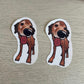Custom Pet Sticker, Die Cut Vinyl Waterproof, Personalized Gift, Custom Dog Sticker, Custom Cat Sticker, Water Bottle Sticker, Pet Decal