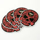 Autocollants en PVC auto-adhésifs personnalisés, autocollants en vinyle découpés, impression imperméable, logo de dessin animé mignon, autocollants personnalisés 