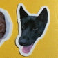 Autocollants en PVC auto-adhésifs personnalisés, autocollants en vinyle découpés, impression imperméable, logo de dessin animé mignon, autocollants personnalisés 