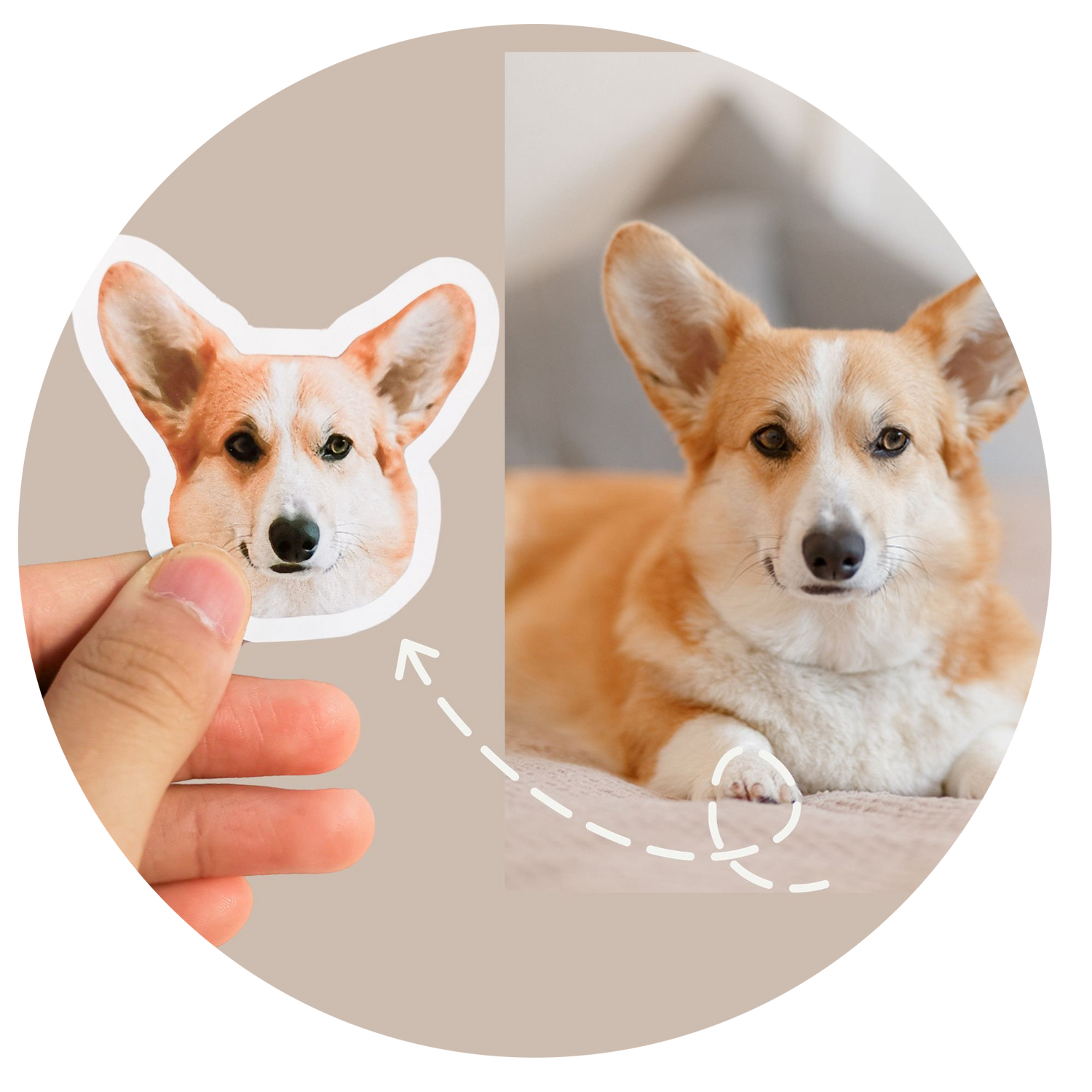 Custom Pet Stickers
